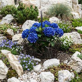 Traumhafter Pflanzkorb Avis ca. 29 cm